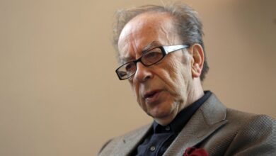 Photo of Ismail Kadare The City without promotion