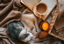 Photo of How to Build a Self-Care Routine That Actually Fits Your Life