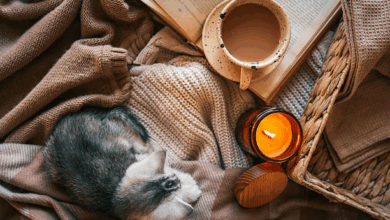 Photo of How to Build a Self-Care Routine That Actually Fits Your Life