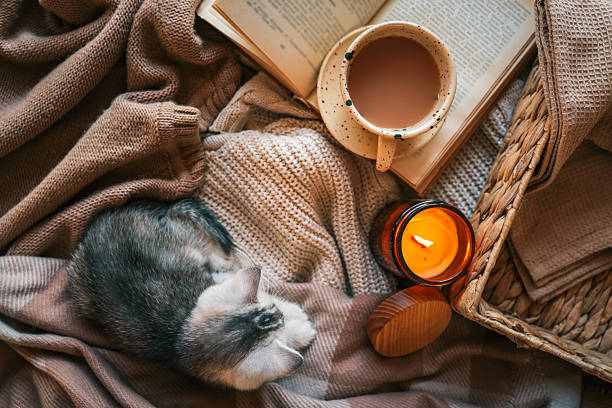 Photo of How to Build a Self-Care Routine That Actually Fits Your Life
