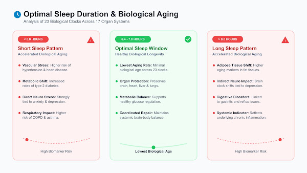 Optimal sleep duration and self-care for healthy biological aging 2